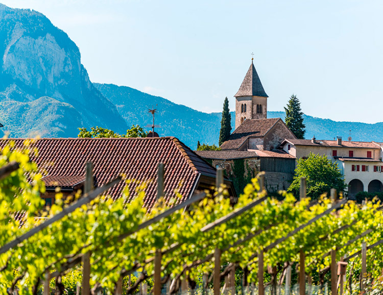 Alto Adige Wine Road / Wine Termeno Village